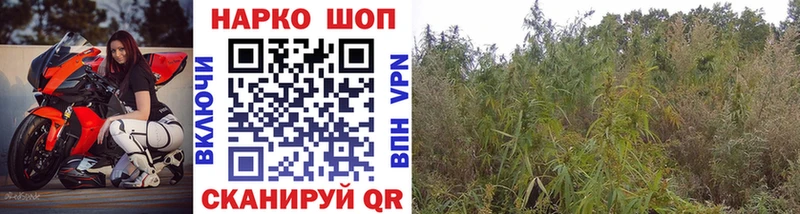 Купить закладку A PVP  МЕФ  ГАШ  Канабис  COCAIN  Нефтегорск
