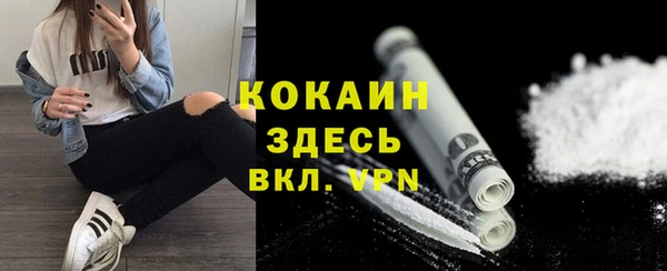 бошки Горняк