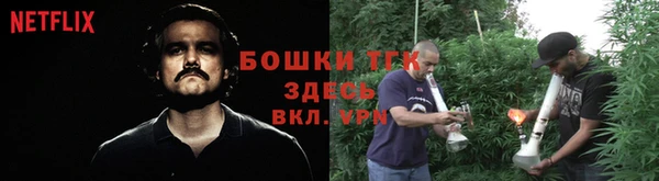 прущие крисы Горнозаводск