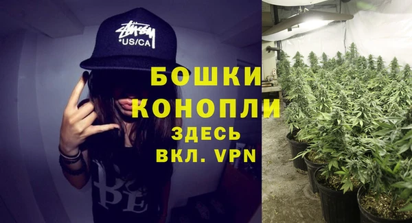 бошки Горняк