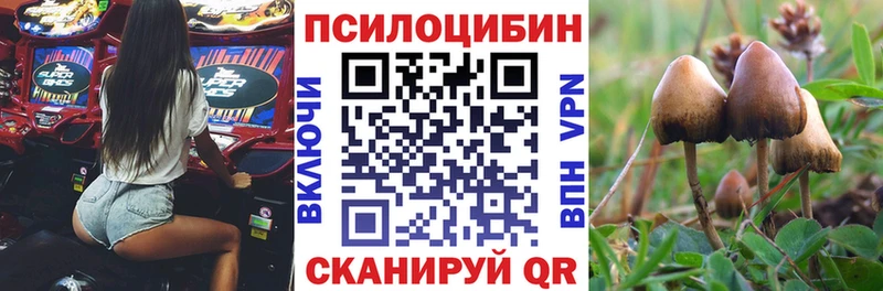 Галлюциногенные грибы мухоморы  Купить где  Нефтегорск 